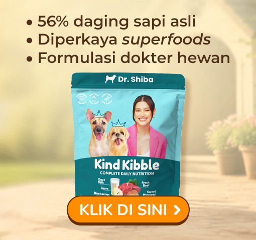 Dr Shiba Kind Kibble