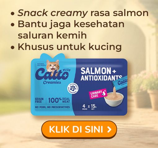 Catto Plus Creamies Salmon Urinary