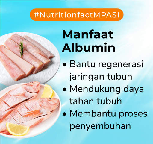 Manfaat Albumin