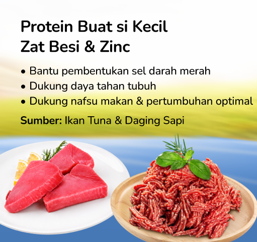 Zat Besi & Zinc