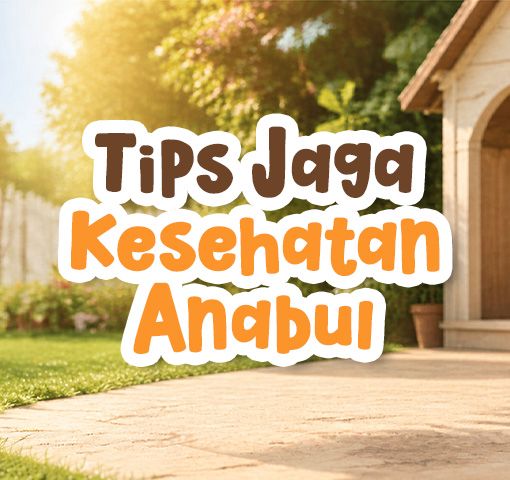 TIPS JAGA KESEHATAN ANABUL - COVER