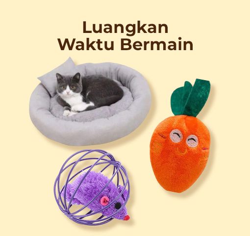 TIPS JAGA KESEHATAN ANABUL - WAKTU BERMAIN
