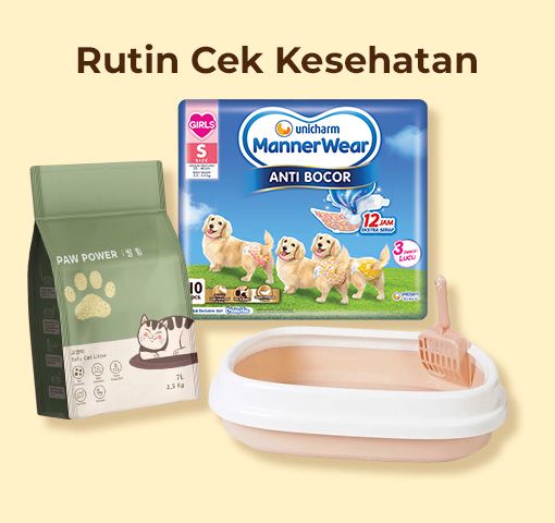 TIPS JAGA KESEHATAN ANABUL - RUTIN CEK KESEHATAN