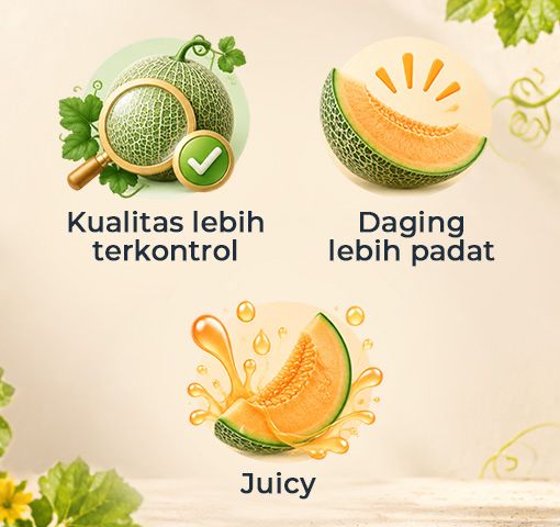 MELON 02