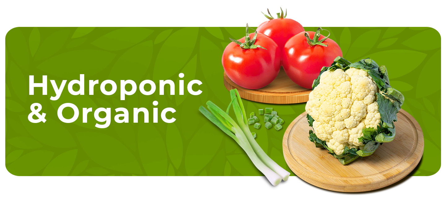 Hydroponic & Organic