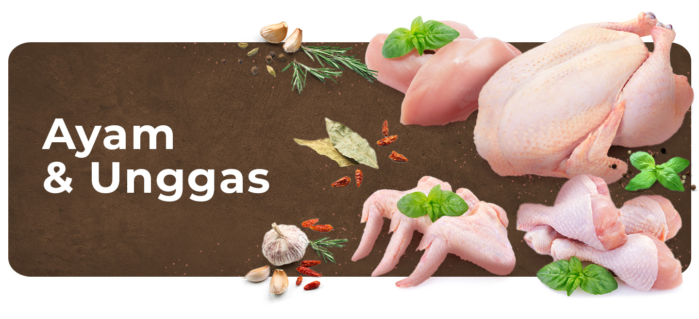 Ayam & Unggas