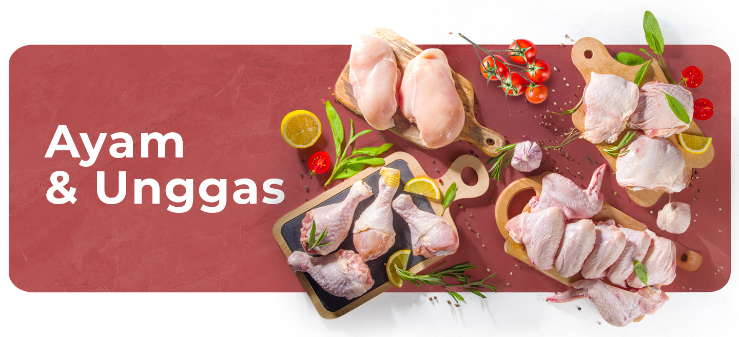 ayam unggas