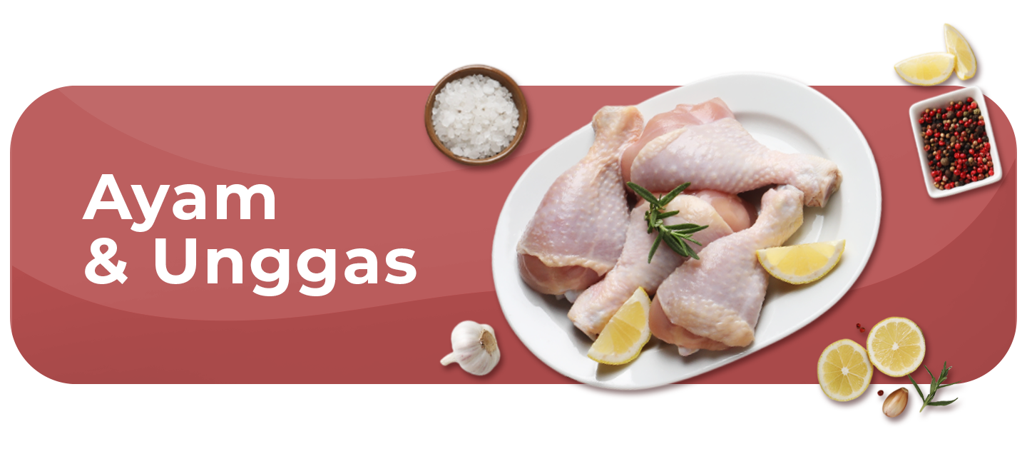 Ayam & Unggas