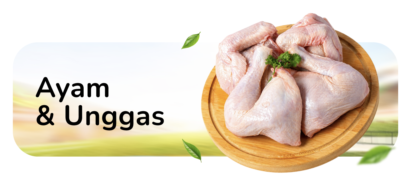 AYAM