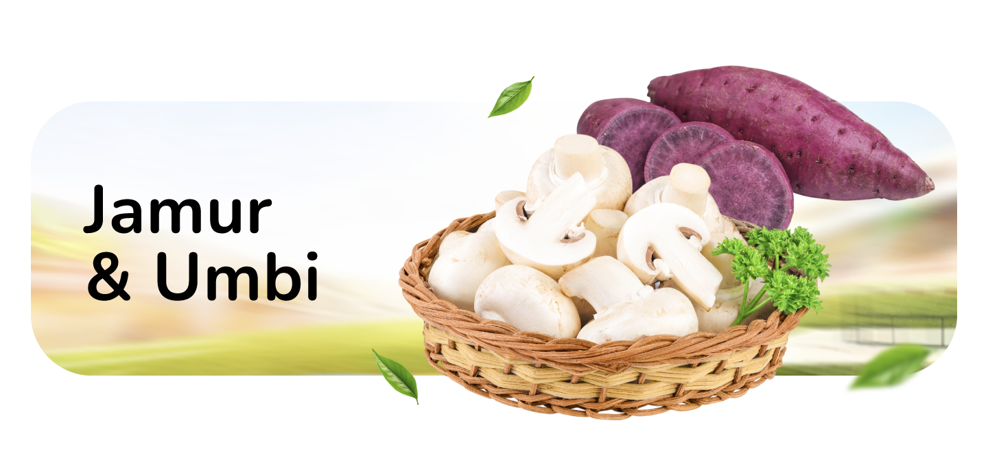 JAMUR