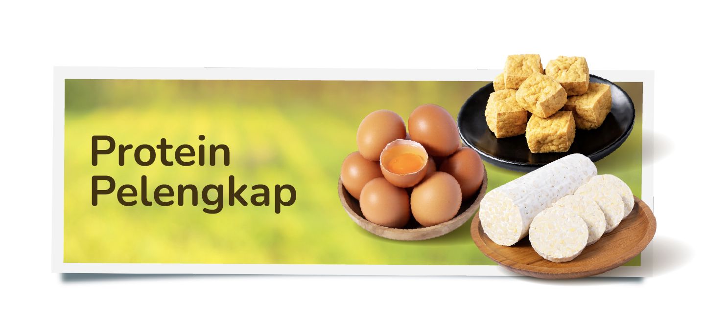 Protein Pilihan🍳