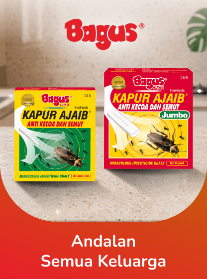 Bagus