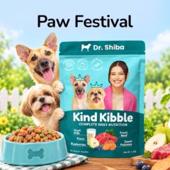 Paw Festival
