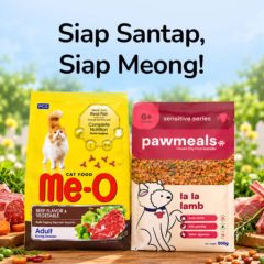 Paw Festival
