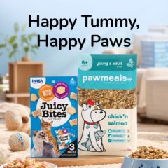 Paw Festival