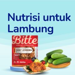 Nutrisi untuk Lambung