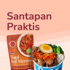 Santapan Praktis