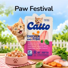 Paw Festival