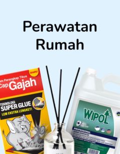 Perawatan Rumah