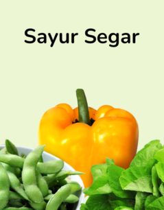 Sayur Segar