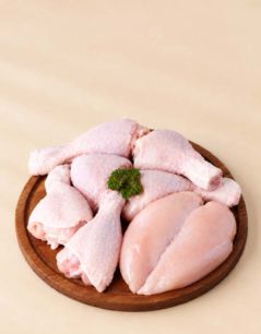 Ayam & Unggas