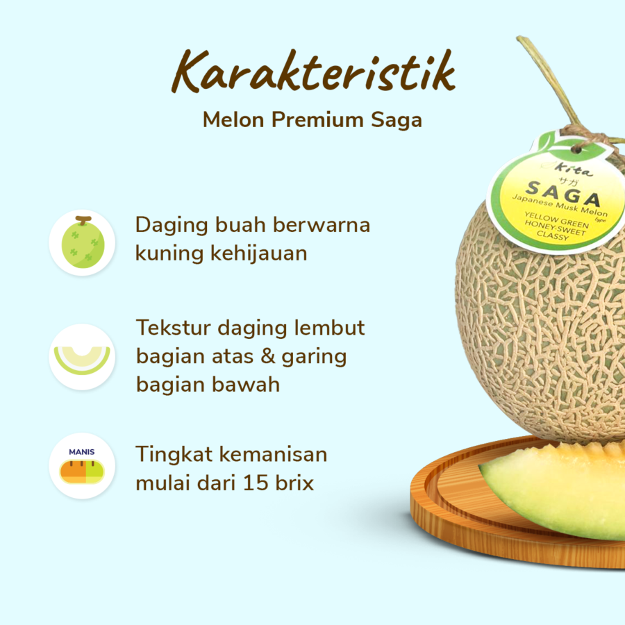 Melon Saga Premium Size XL Astro Farm 1200-1500gram