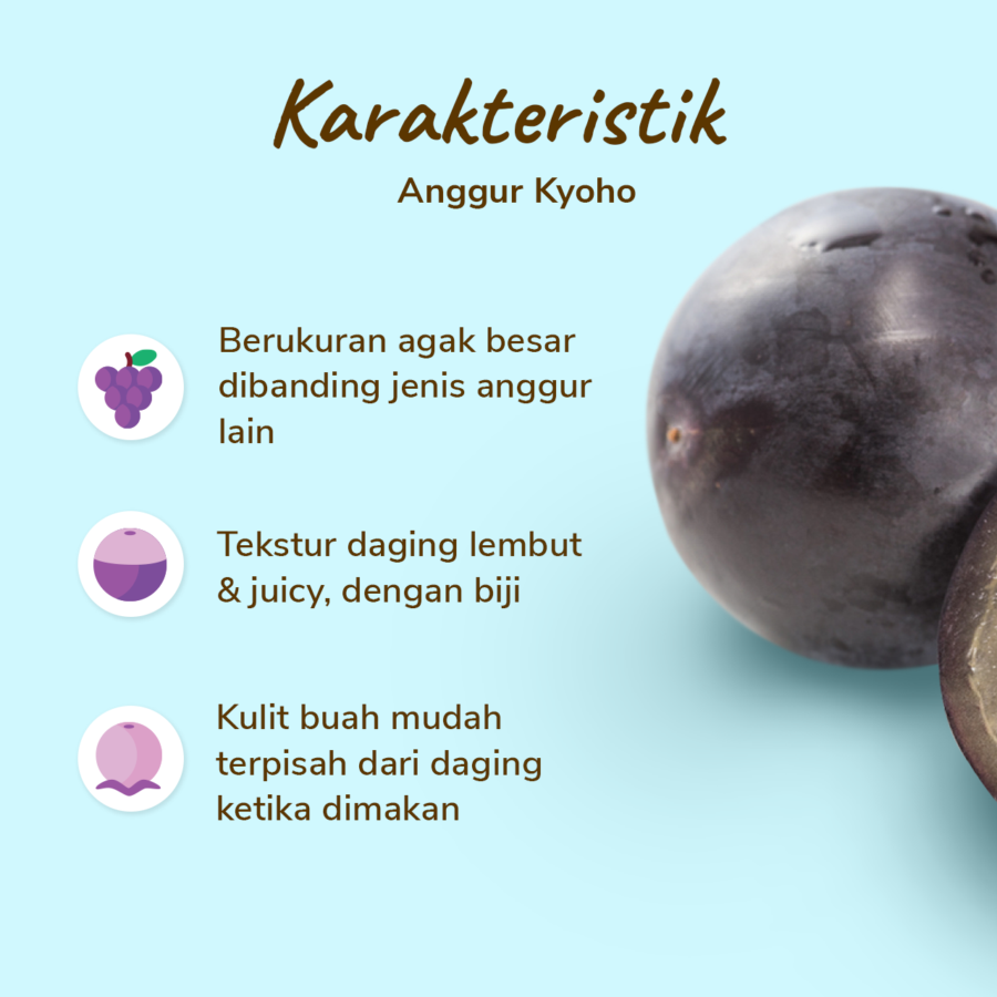 Anggur Kyoho - Astro Farm 500gram