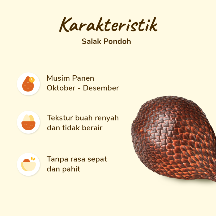 Salak Pondoh Astro Farm pack 10-14 pcs 1000-1100 gram