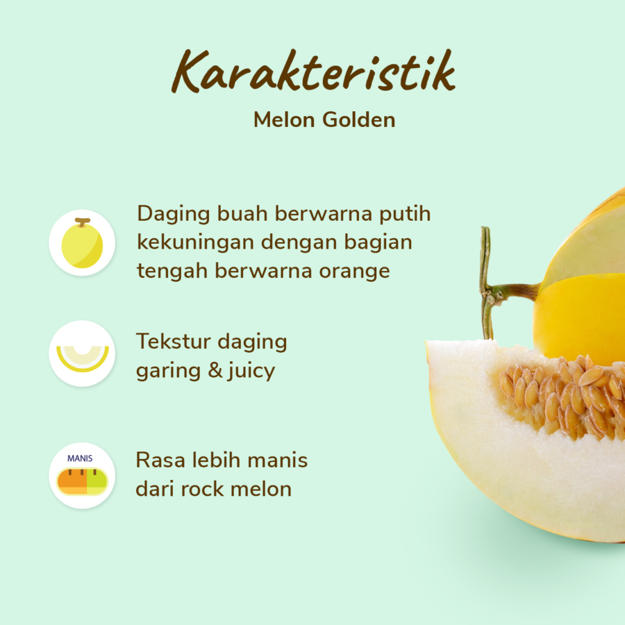 Melon Golden - Astro Farm 1pcs