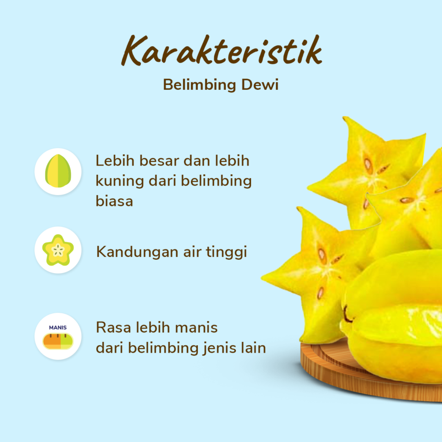 Belimbing Dewi Astro Farm 2-3 pcs 600-800 gram
