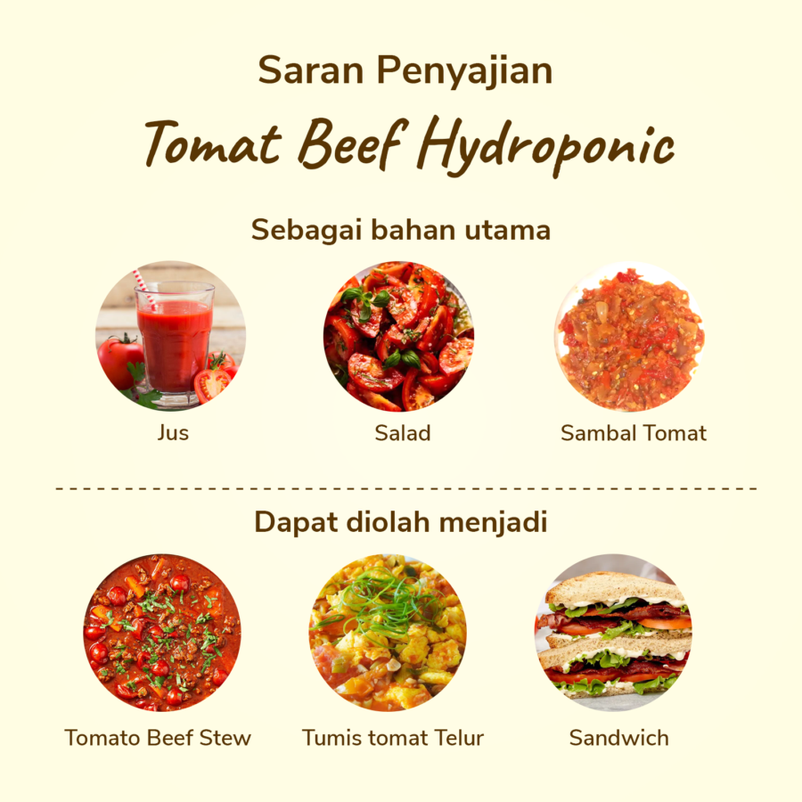 Tomat Beef Hydroponic Astro Farm 1kg