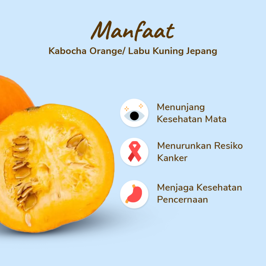 Labu Kabocha Orange Astro Farm 1pcs