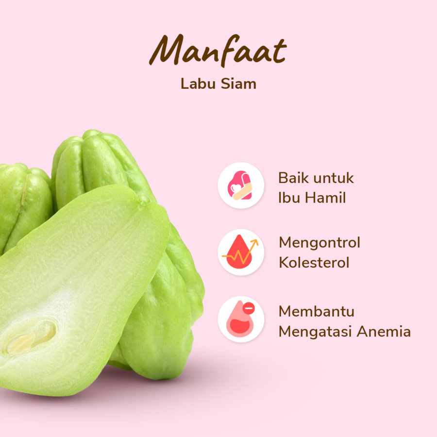 Labu Siam Astro Farm 1pcs