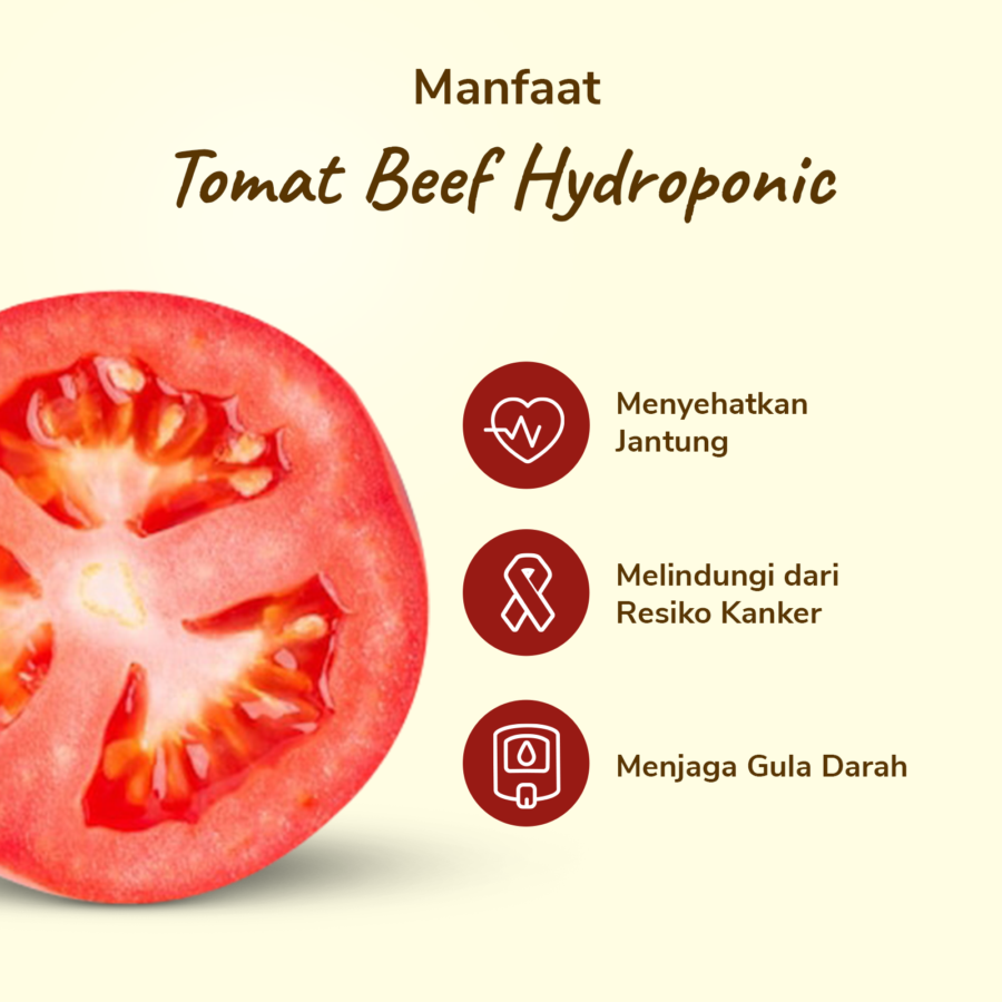 Tomat Beef Hydroponic Astro Farm 1kg
