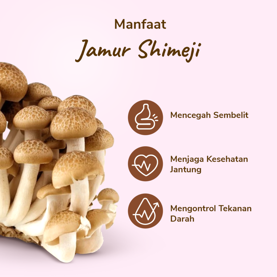 Jamur Shimeji Coklat 150gram