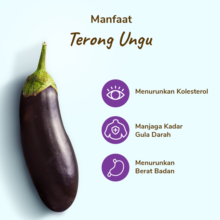 Terong Ungu Astro Farm 500gram