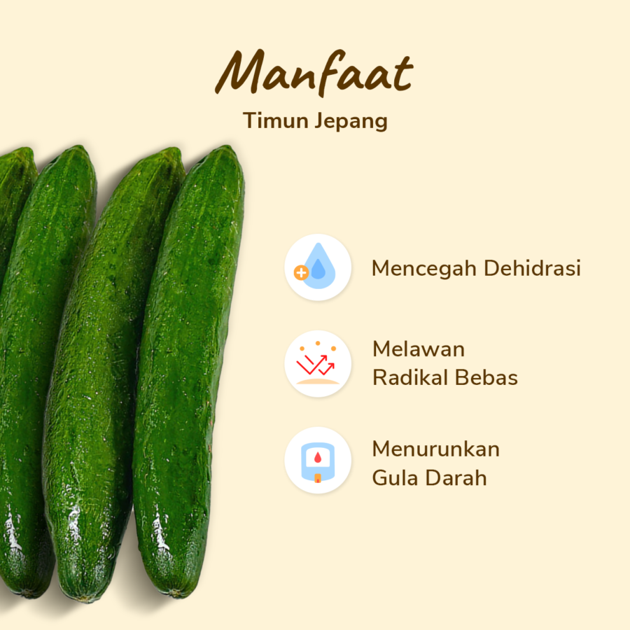 Timun Jepang Kyuri Astro Farm 500gram