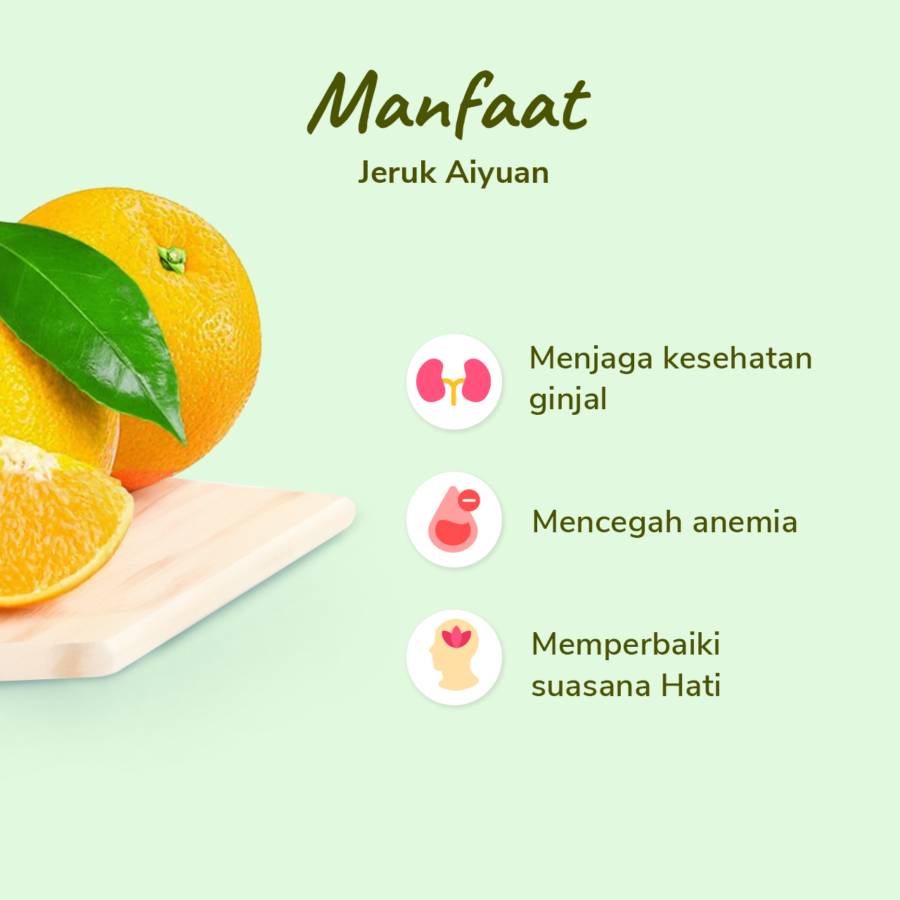 Jeruk Aiyuan Seedless  Astro Farm 2-3 pcs 400-500gram