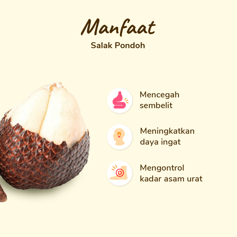 Salak Pondoh Astro Farm pack 10-14 pcs 1000-1100 gram