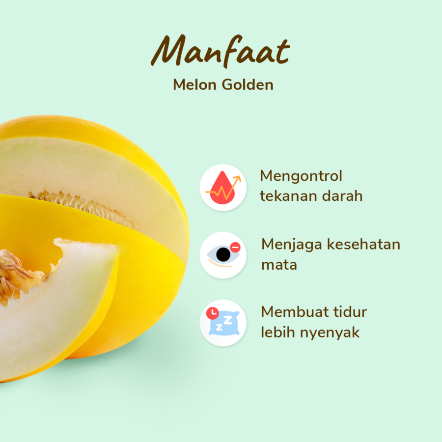 Melon Golden - Astro Farm 1pcs