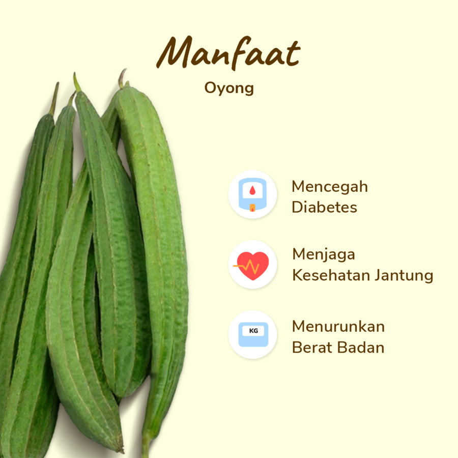 Oyong Astro Farm 500gram