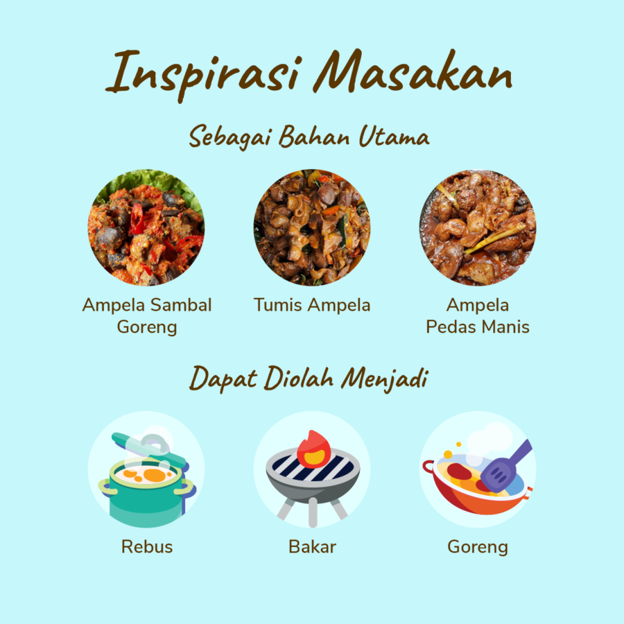 Ampela Ayam Bersih Sreeya Gizzard 450-550gram