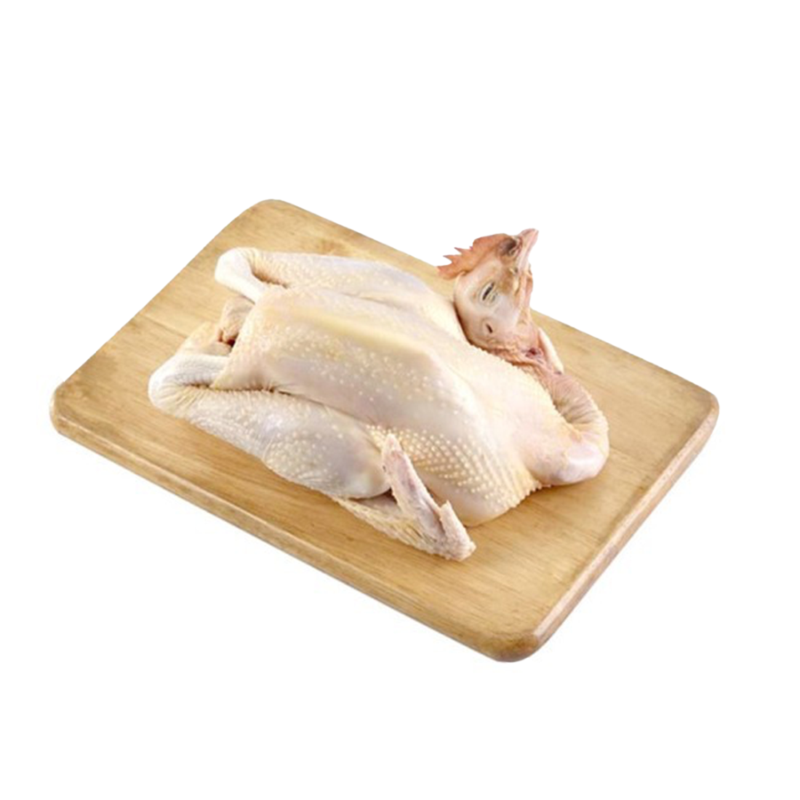 Ayam Pejantan Utuh 600-700gr