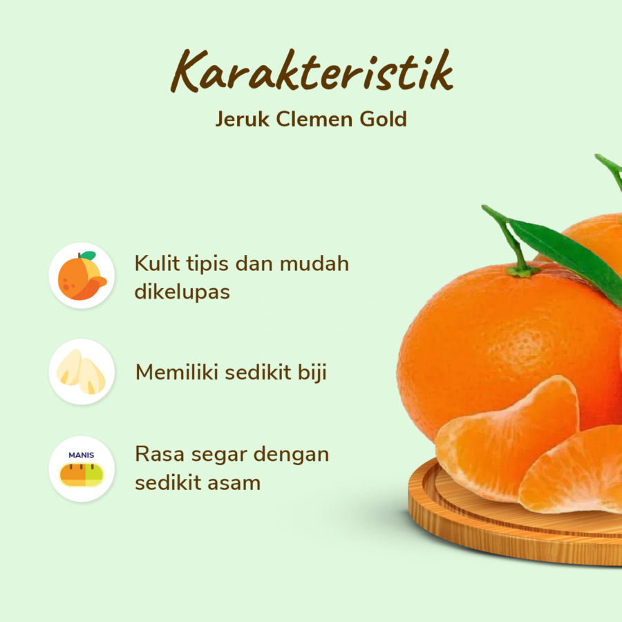 Jeruk Clemen Gold Astro Farm 900-1000gram