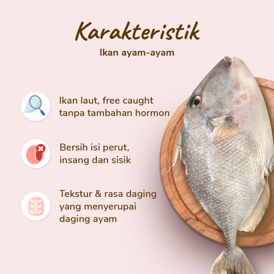 Ikan Ayam - Ayam - Astro Basics 500gram