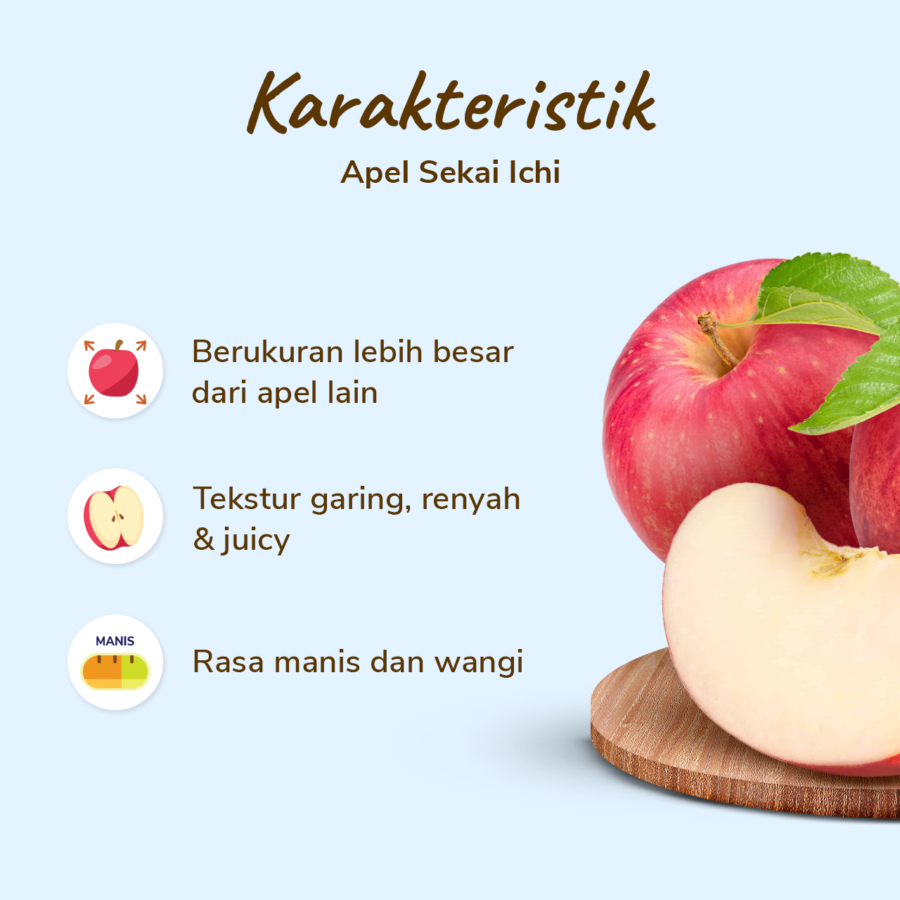 Apel Sekai Ichi Premium Size L - Astro Farm 250gr - 300gr/pcs