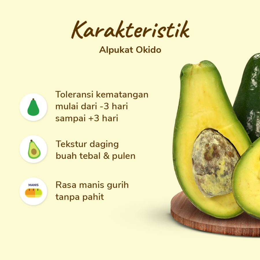Alpukat Okido Premium Size XL - Astro Farm 700gr - 900gr/pcs