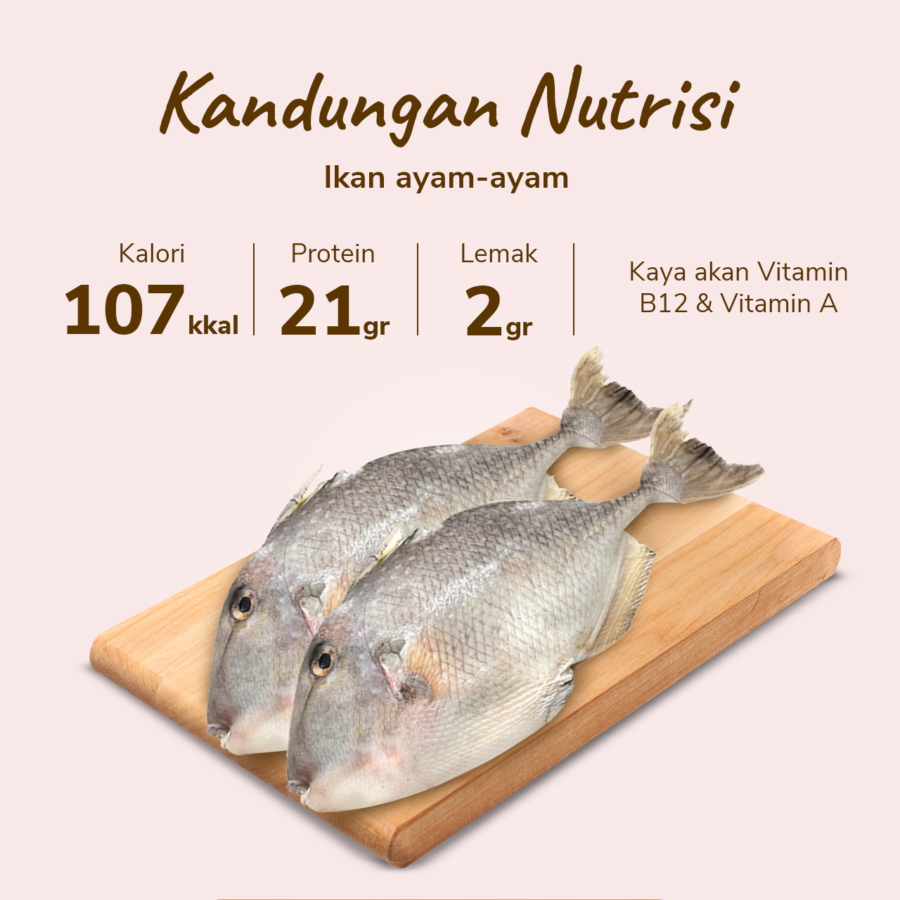Ikan Ayam - Ayam - Astro Basics 500gram