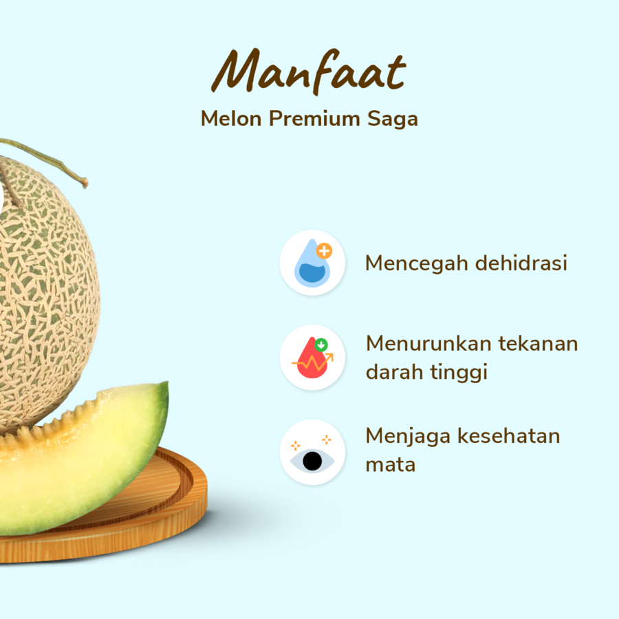 Melon Saga Premium Size L 900-1200gram
