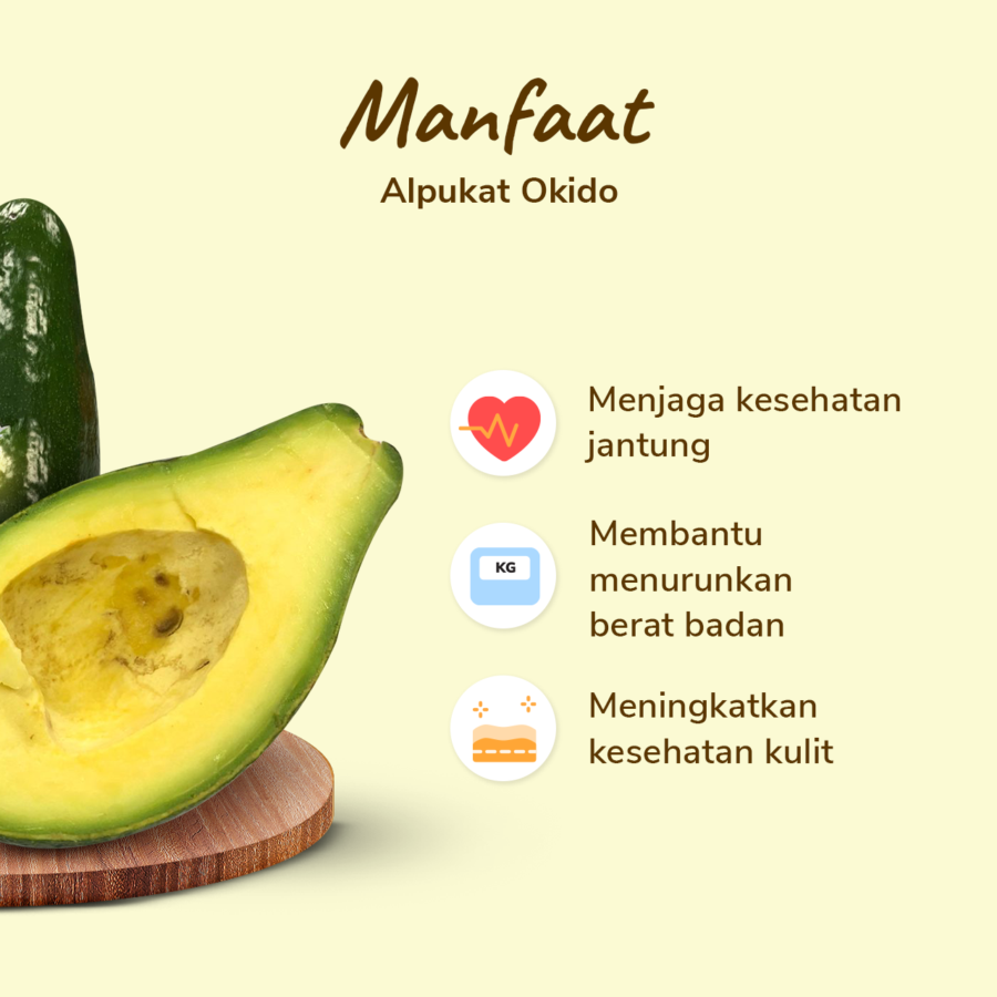 Alpukat Okido Premium Size L Astro Farm 1 pcs 500-700 gram